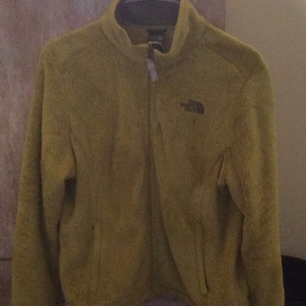 The north face green fleece!